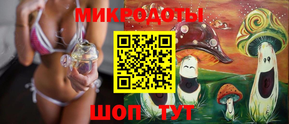 Галлюциногенные грибы Cubensis Луга