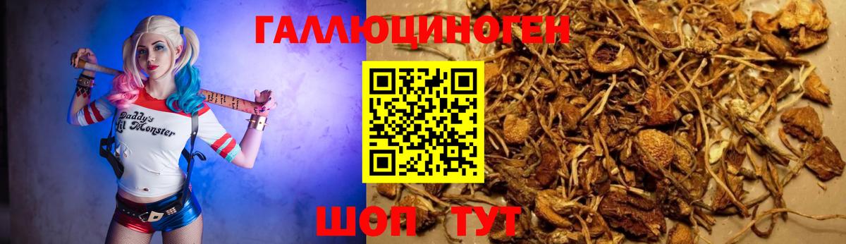 Галлюциногенные грибы GOLDEN TEACHER  Вход с VPN  Луга 